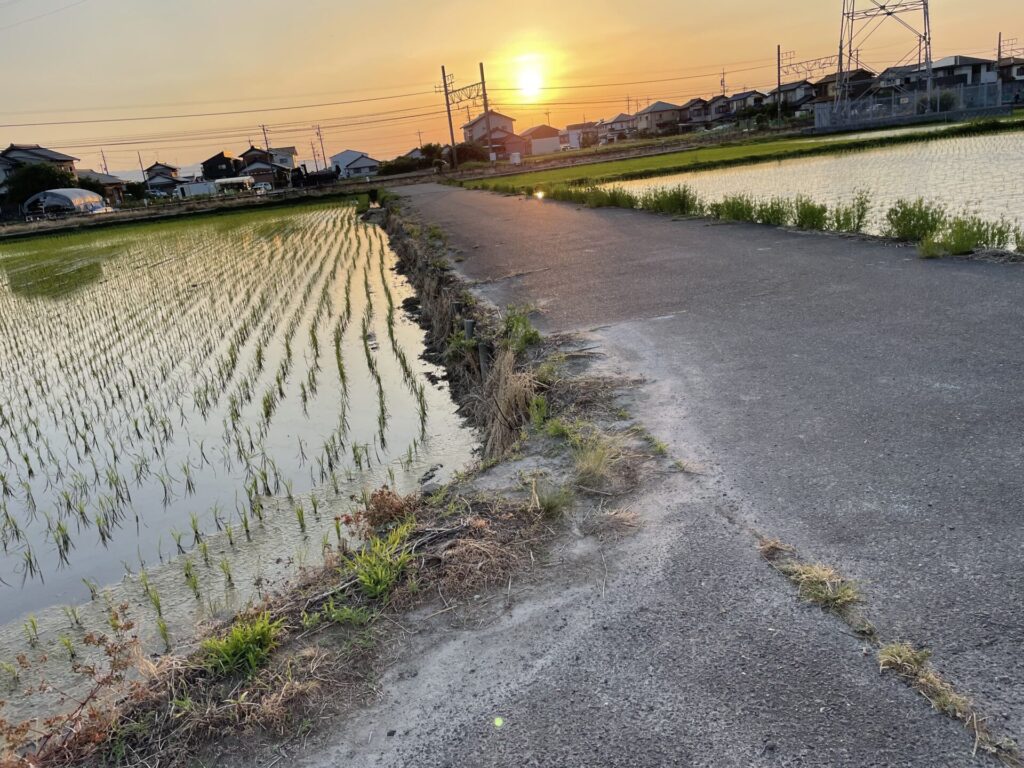 田舎道イメージ